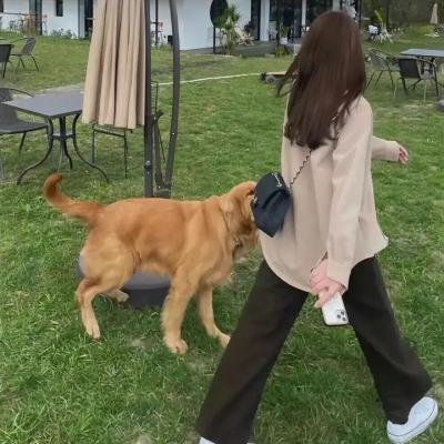 公私恋事多粤语